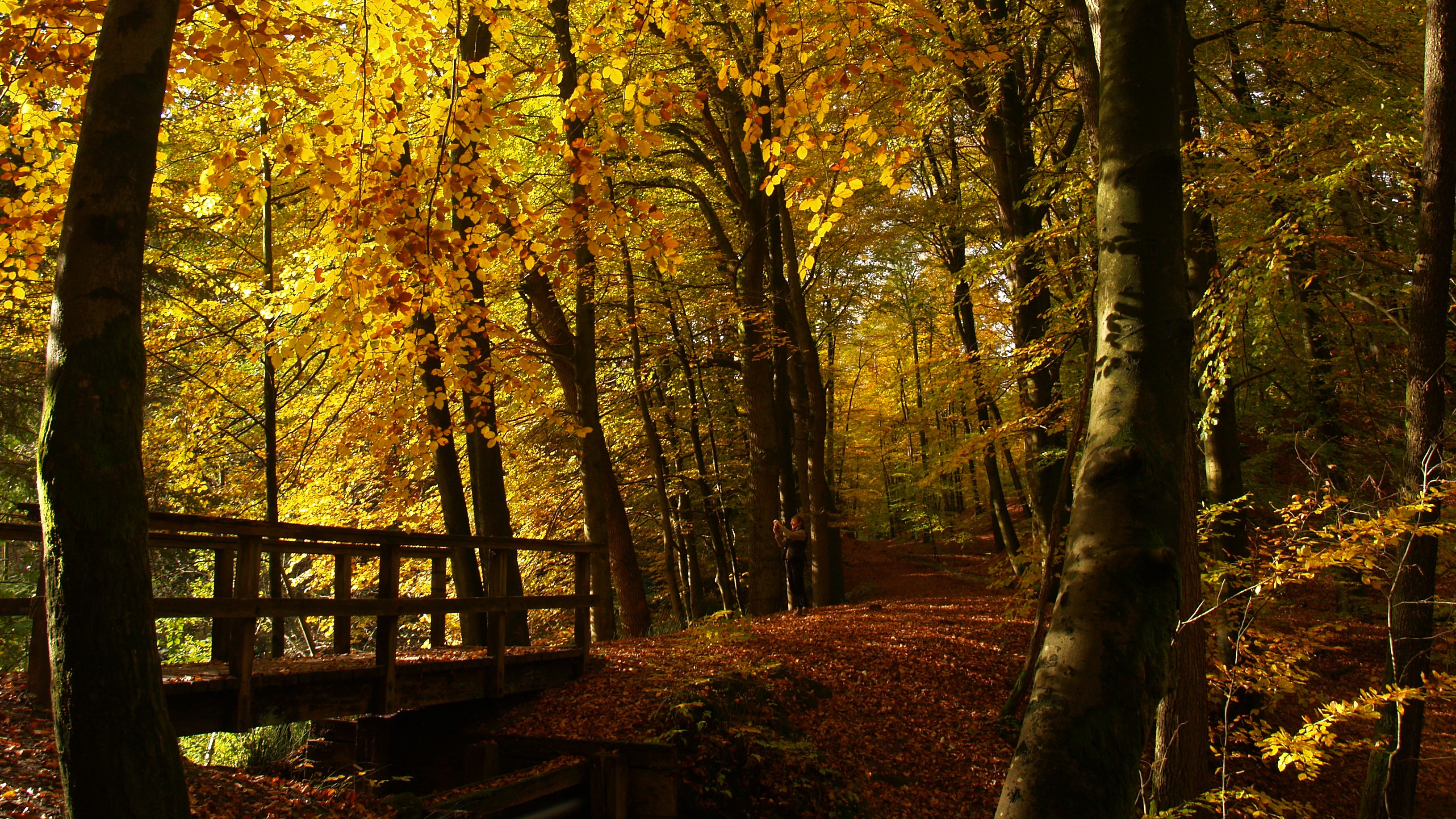 HEIMAT 29